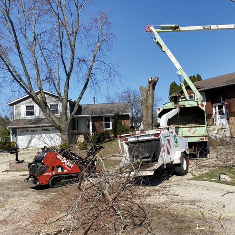 Love Tree Service LLC - Image -10