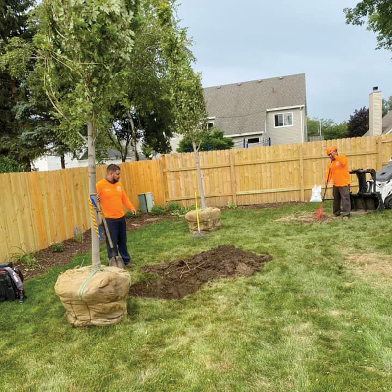 Love Tree Service LLC - Image -9